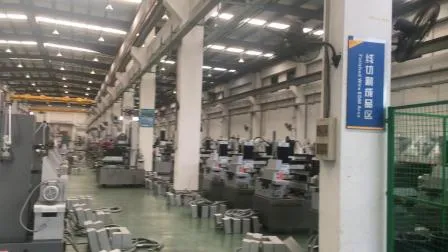 Macchina per elettroerosione a tuffo (EDM450CNC)